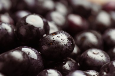 Photo of Wet acai berries as background, closeup view