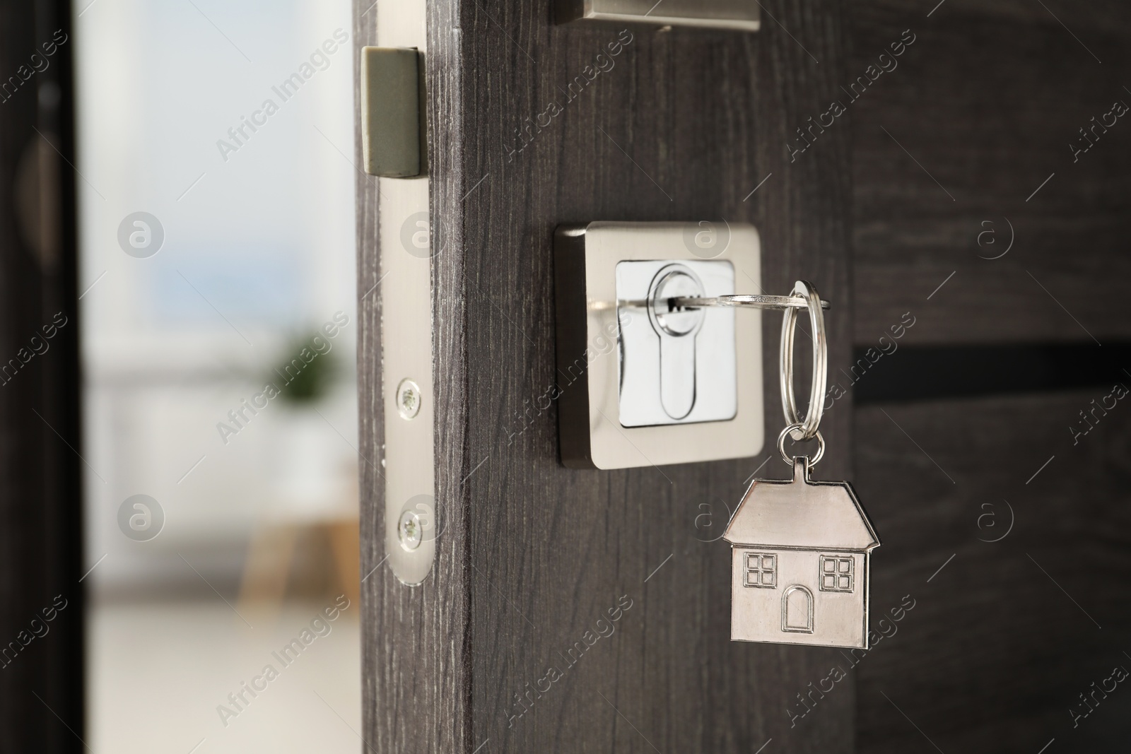 Photo of Open door with key and house shaped keychain, closeup