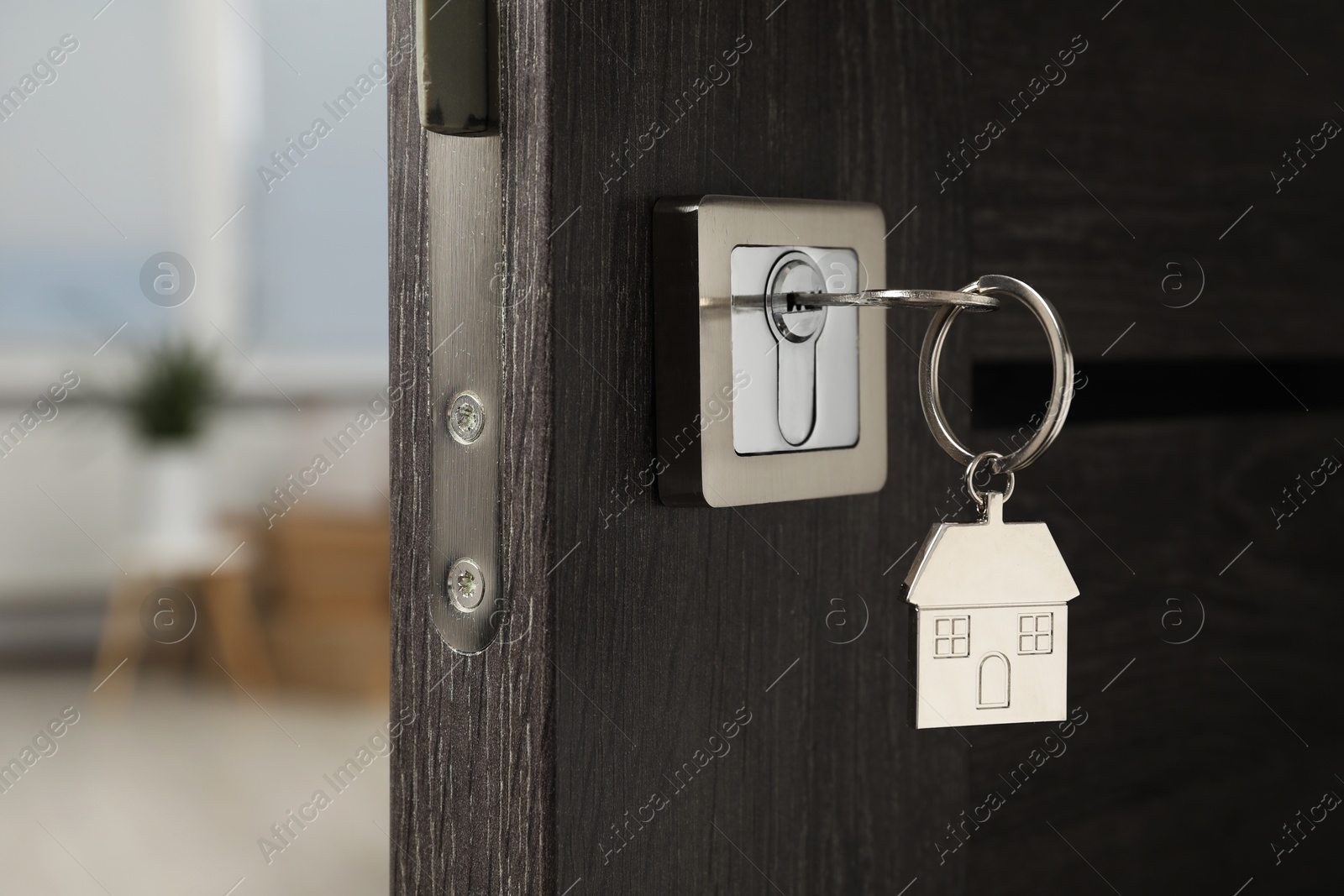 Photo of Open door with key and house shaped keychain, closeup