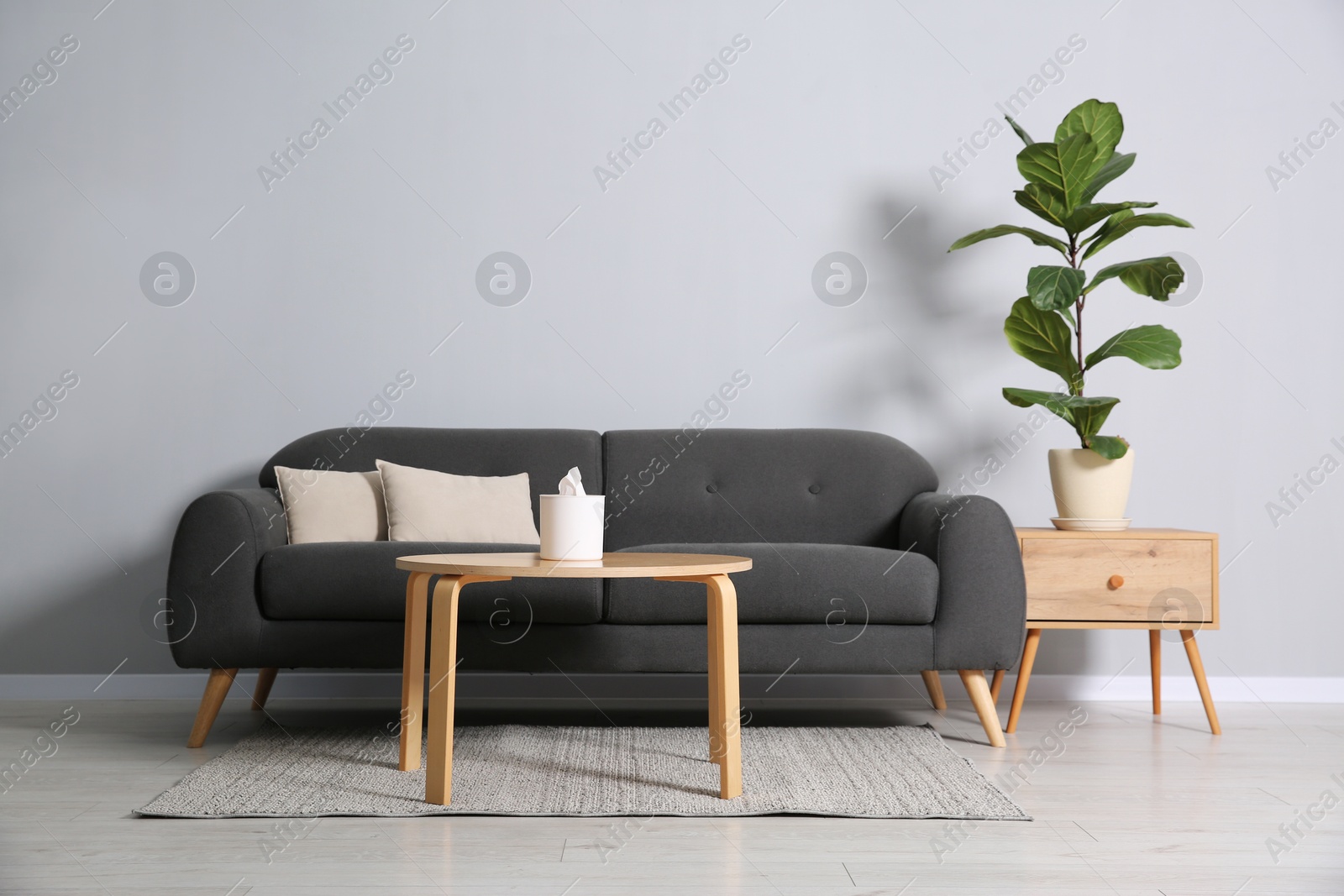 Photo of Comfortable sofa, houseplant and tables near grey wall in room