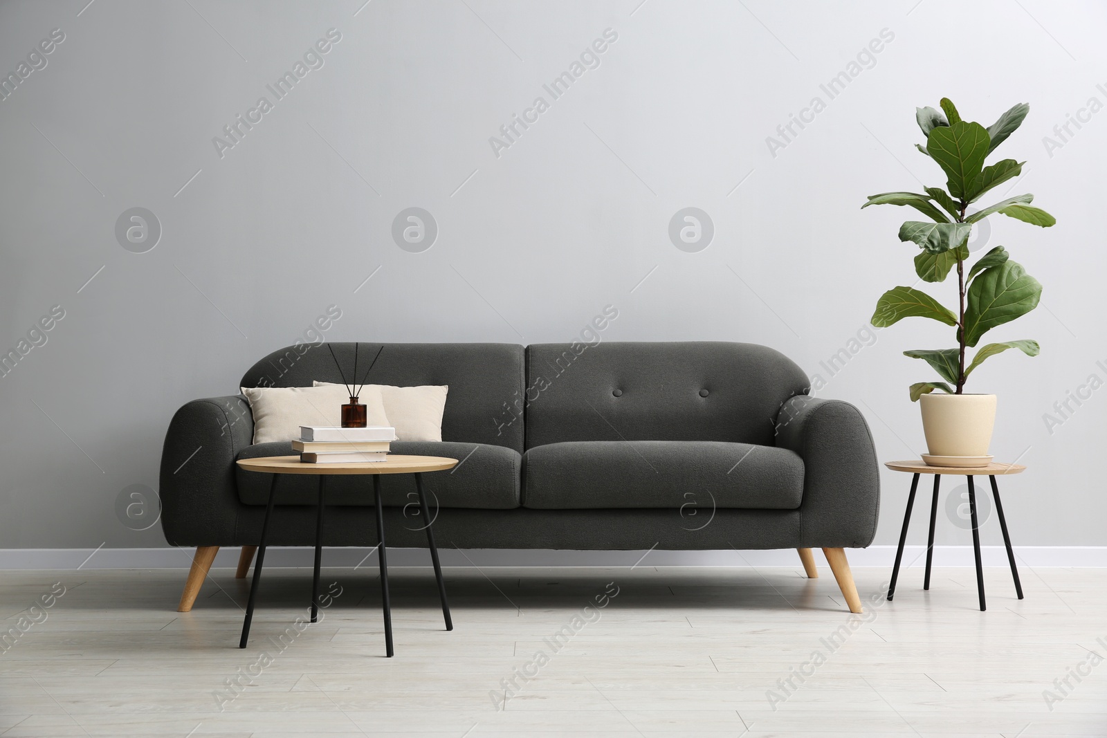 Photo of Comfortable sofa, tables and houseplant near grey wall in room