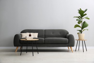 Comfortable sofa, tables and houseplant near grey wall in room