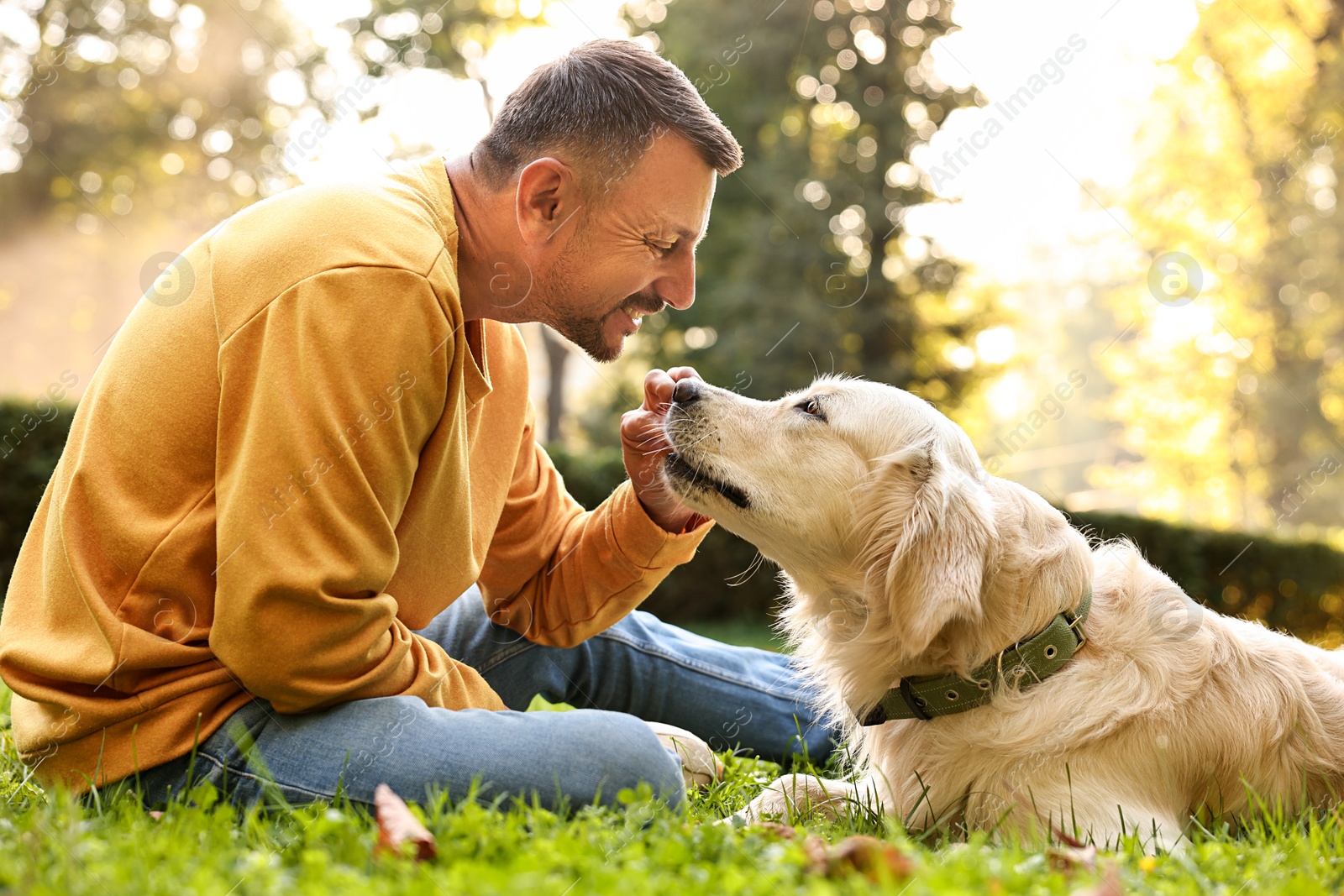 Photo of Smiling man with cute Golden Retriever dog on spring day