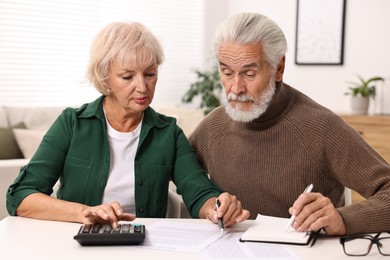 Pension savings. Senior couple planning budget at white table indoors