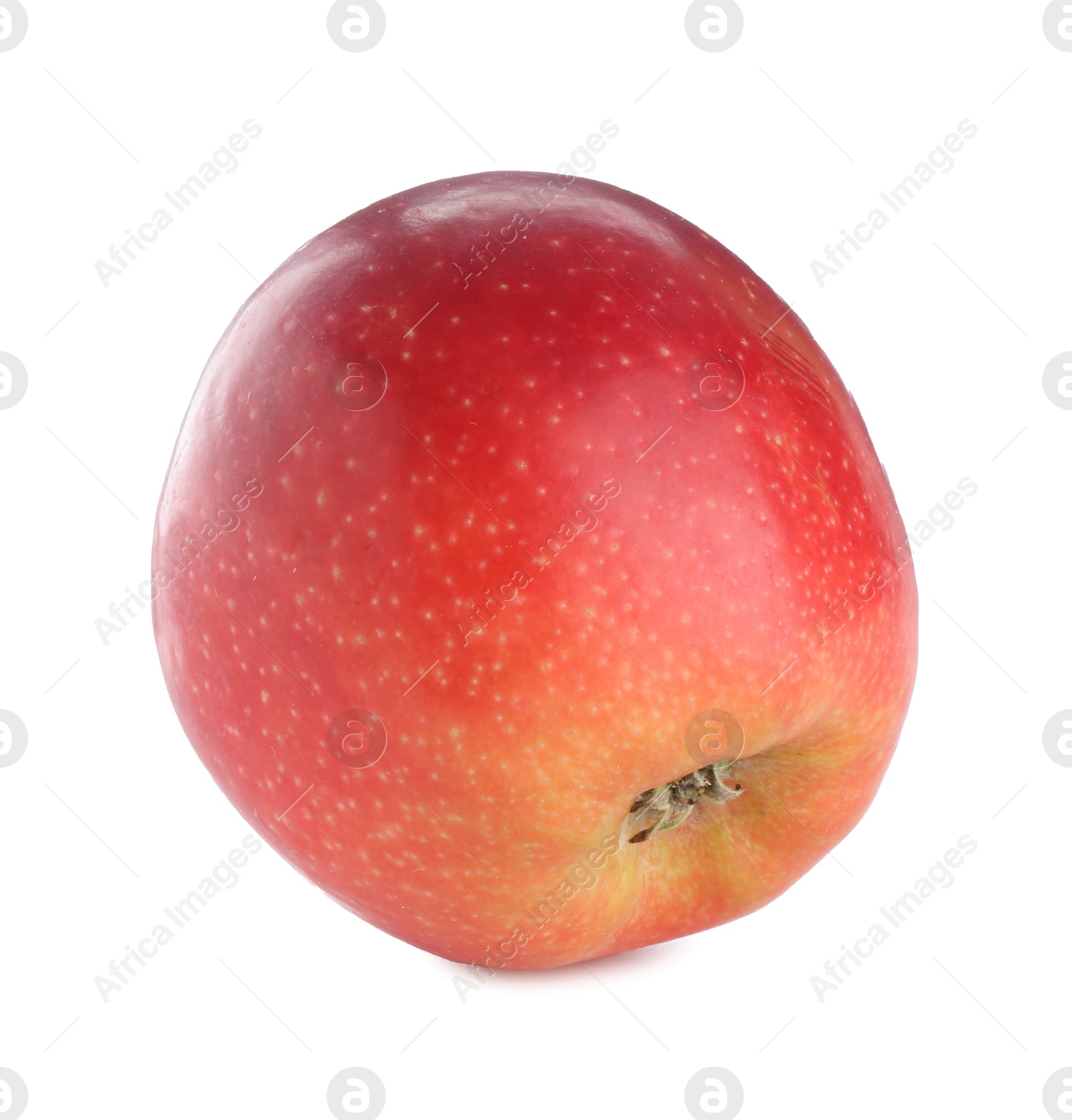 Photo of One fresh red apple isolated on white