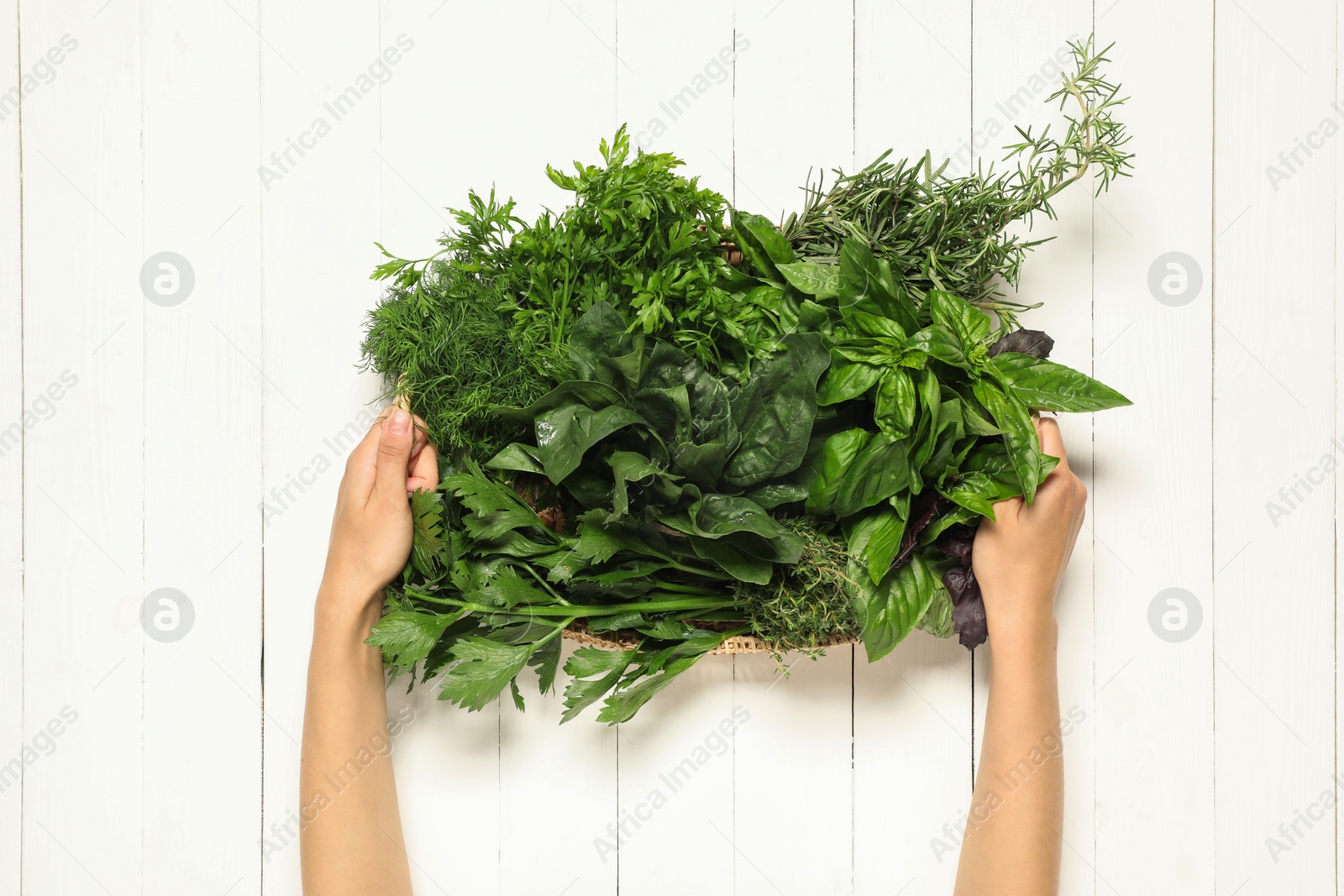 Photo of Woman holding different fresh herbs in basket at white wooden table, top view