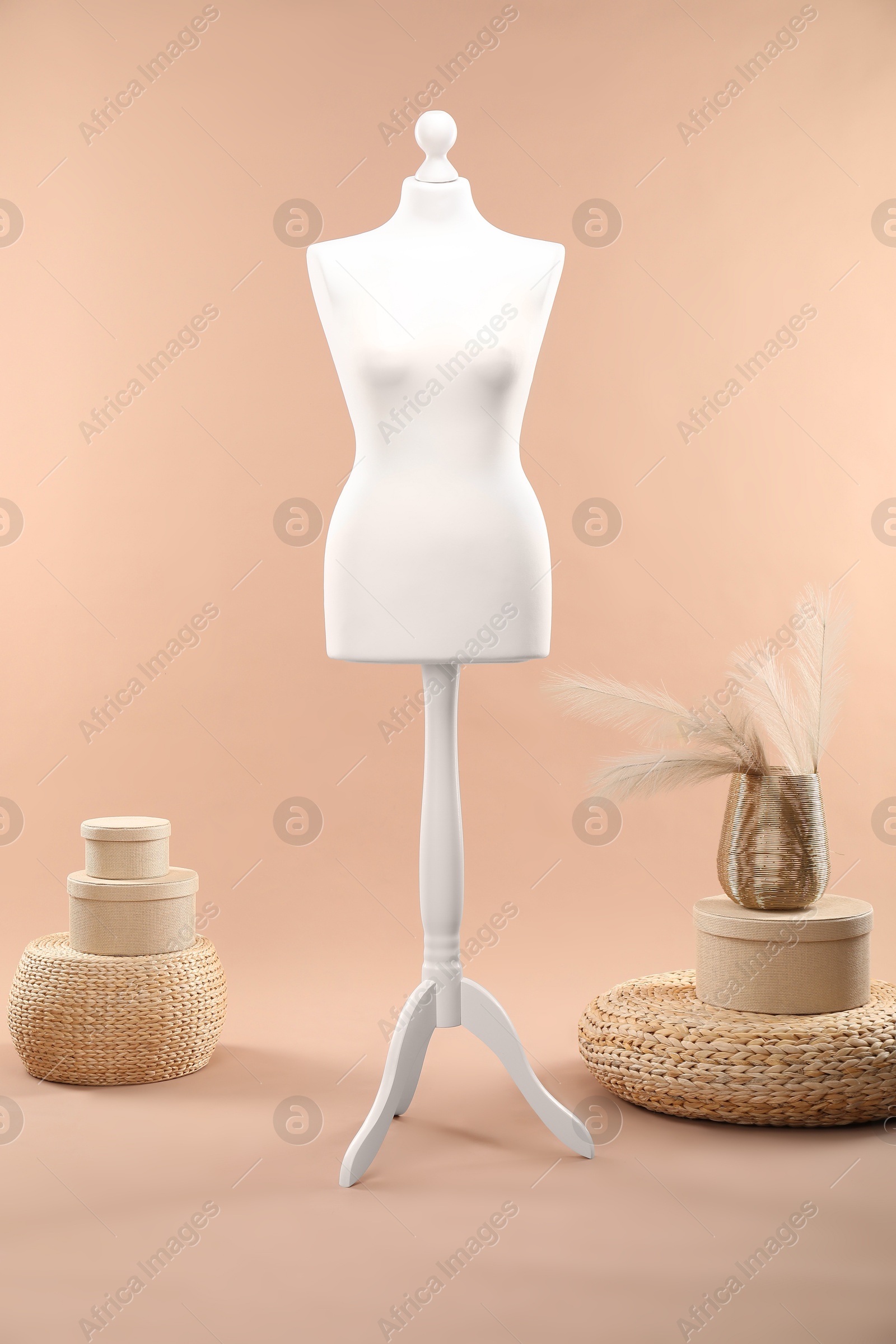 Photo of Female mannequin, poufs, boxes and vase with decorative plants on beige background