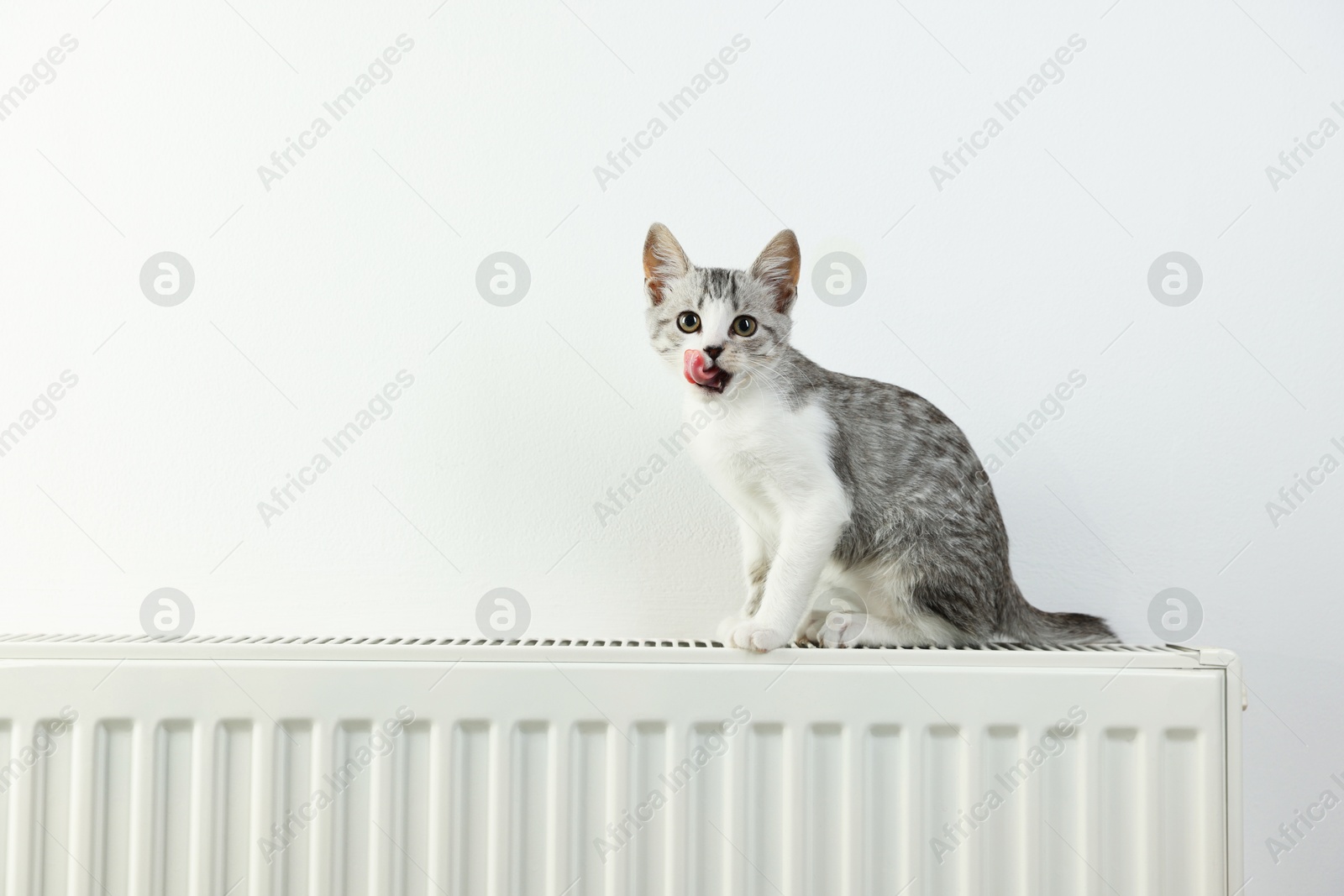 Photo of Cute little kitten on radiator near white wall, space for text