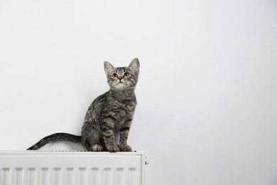 Photo of Cute little kitten on radiator near white wall, space for text