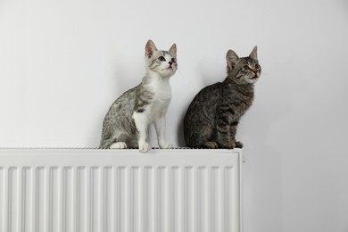 Photo of Cute little kittens on radiator near white wall