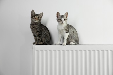 Photo of Cute little kittens on radiator near white wall