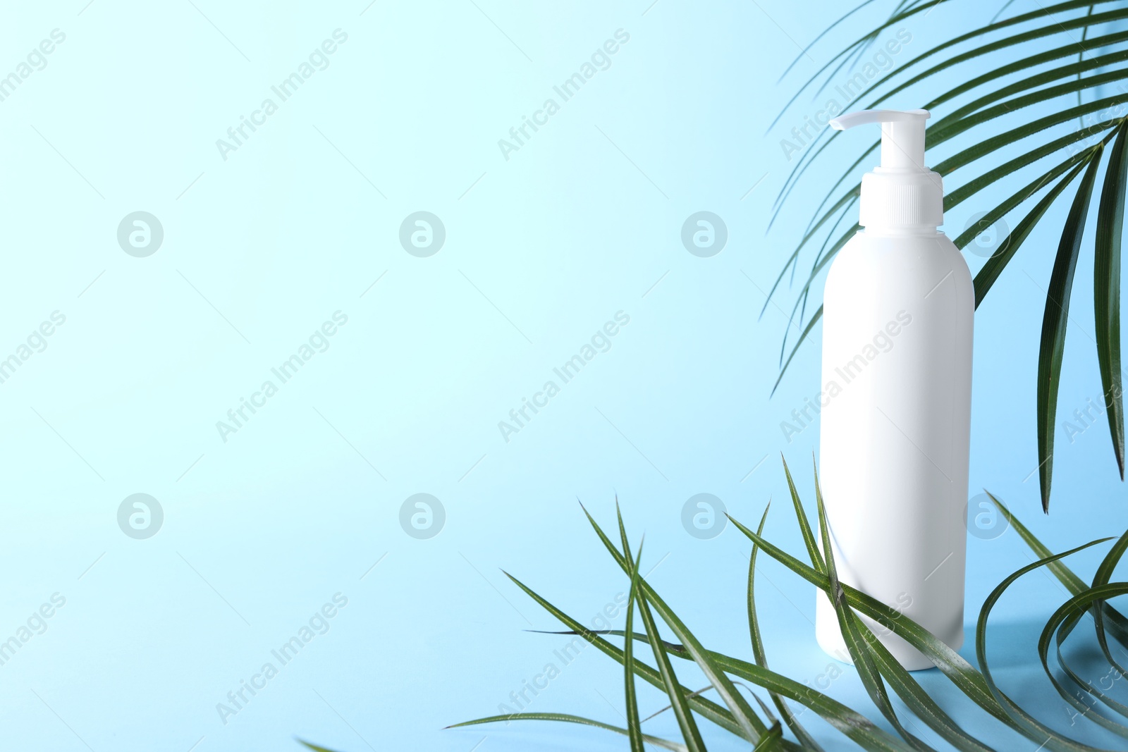 Photo of Shampoo in bottle and green palm leaves on light blue background. Space for text