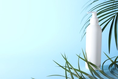 Photo of Shampoo in bottle and green palm leaves on light blue background. Space for text