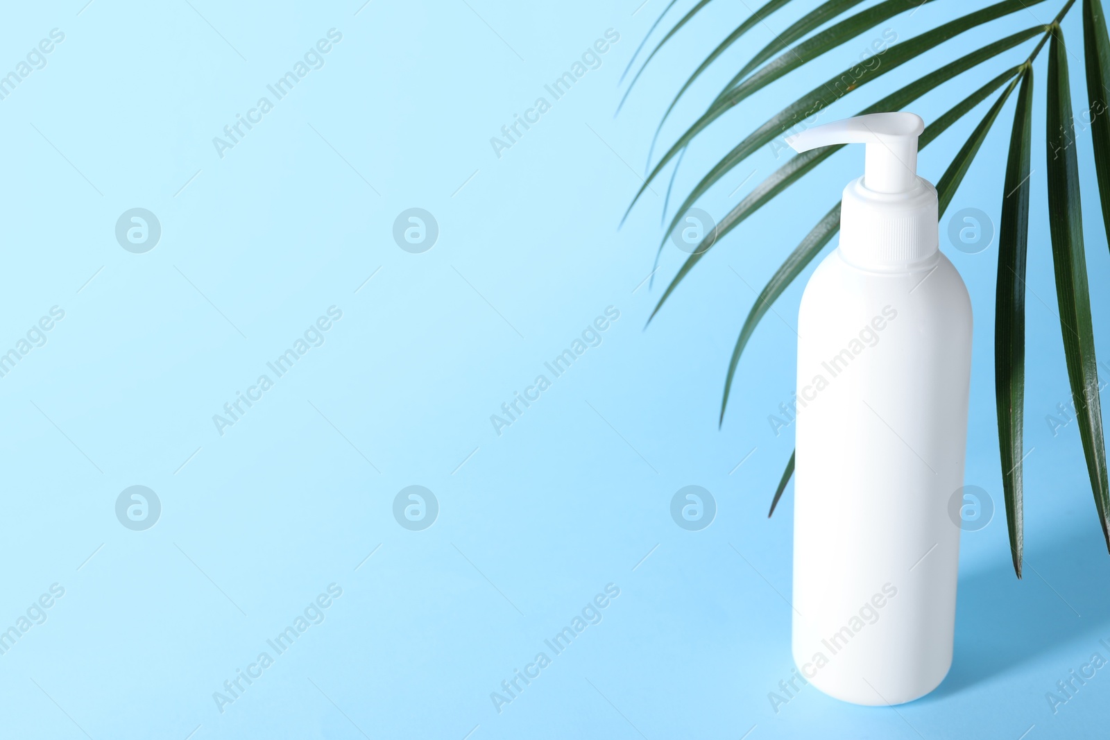 Photo of Shampoo in bottle and green palm leaves on light blue background. Space for text