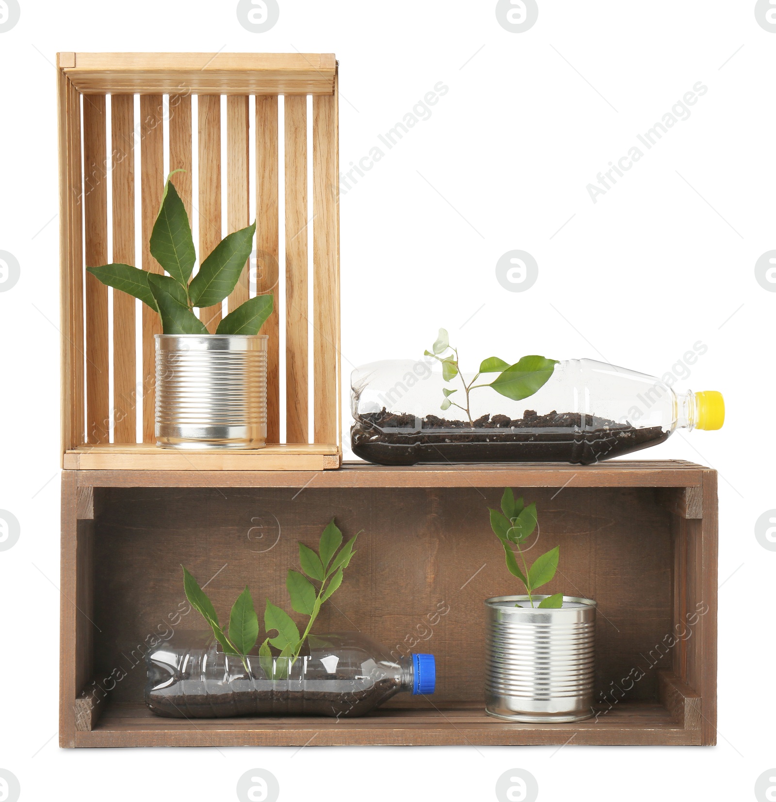 Photo of Recycling concept. Wooden crates with plants in bottles and cans isolated on white