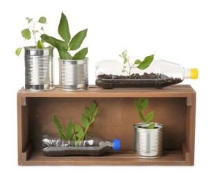 Photo of Recycling concept. Wooden crate with plants in bottles and cans isolated on white