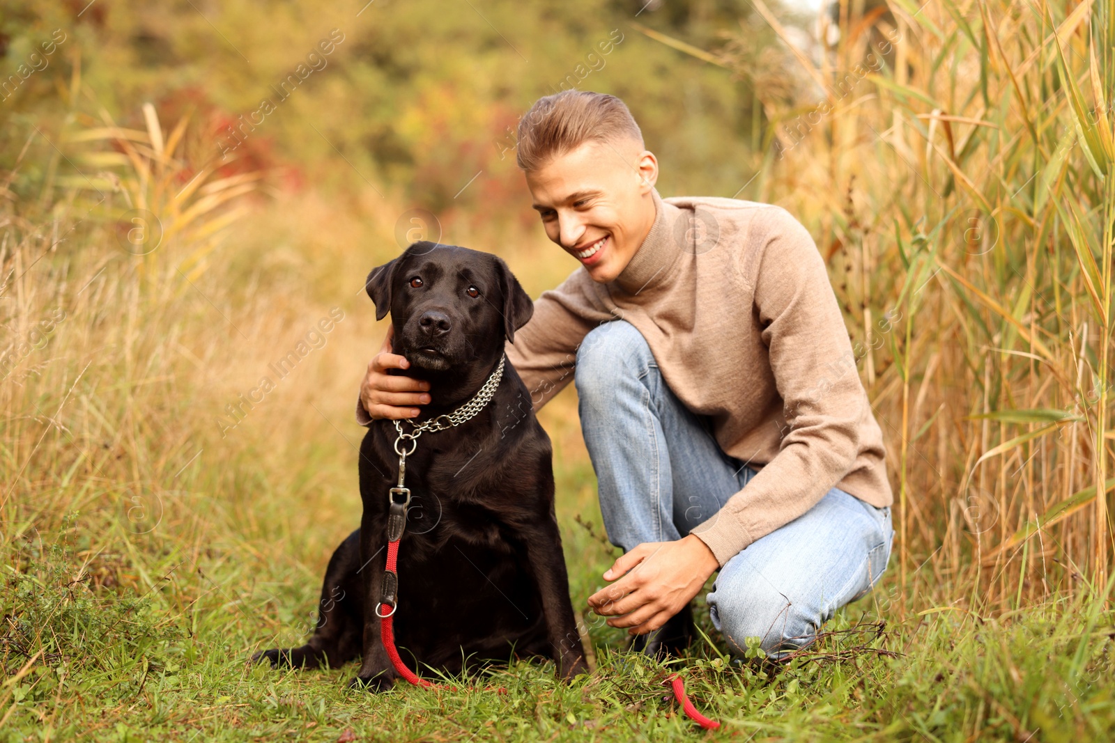 Photo of Smiling man with cute dog outdoors on autumn day