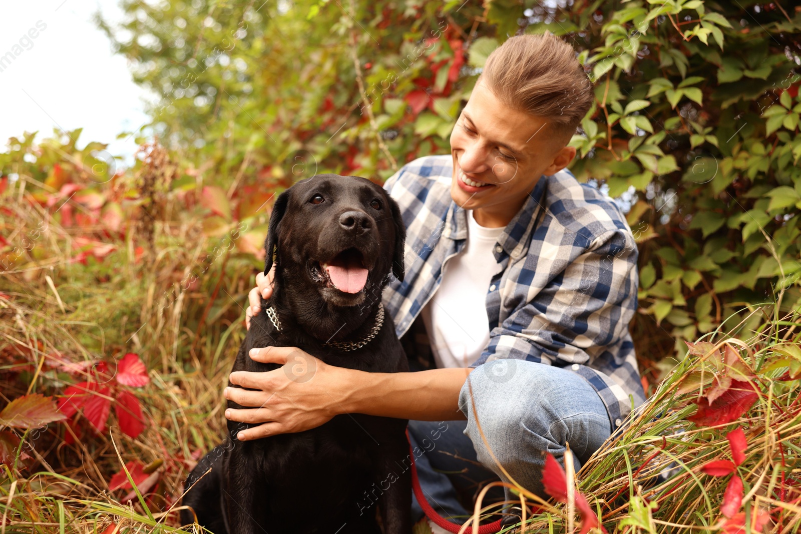 Photo of Smiling man with cute dog outdoors on autumn day