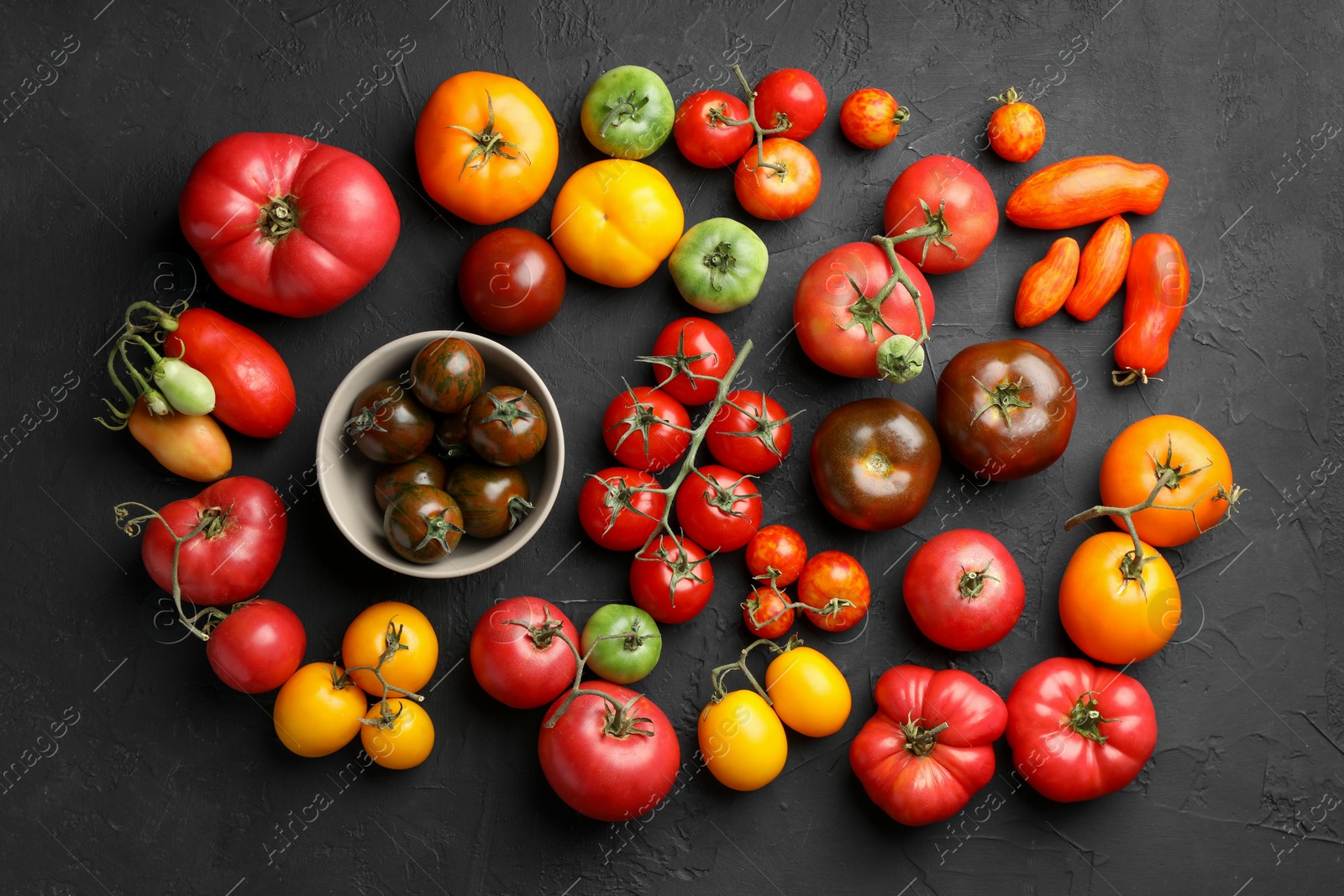 Photo of Different fresh tomatoes on grey textured table, flat lay