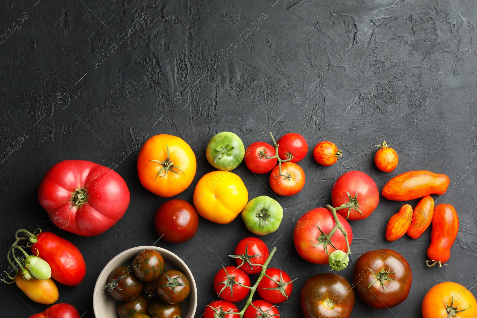 Photo of Different fresh tomatoes on grey textured table, flat lay. Space for text