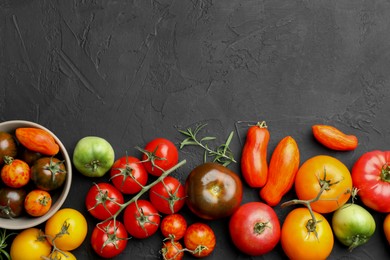 Photo of Different fresh tomatoes and rosemary on grey textured table, flat lay. Space for text