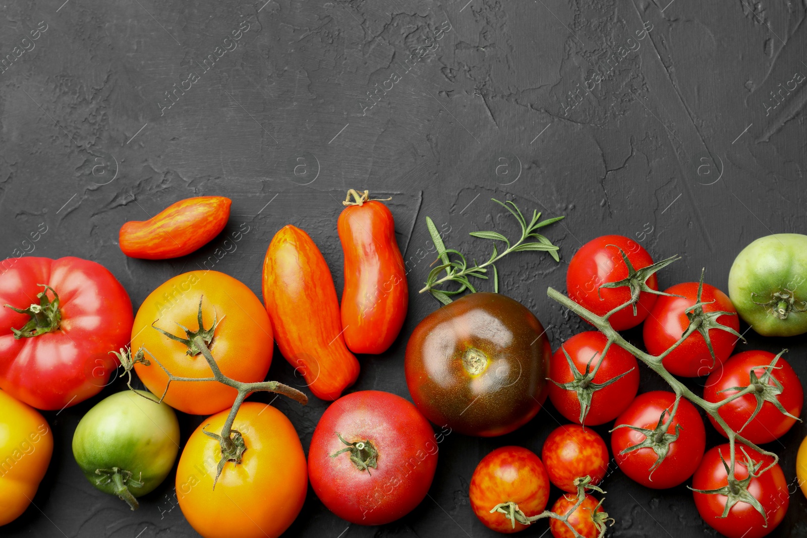 Photo of Different fresh tomatoes and rosemary on grey textured table, flat lay