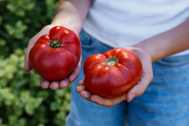 Photo of Woman holding fresh ripe tomatoes outdoors, closeup