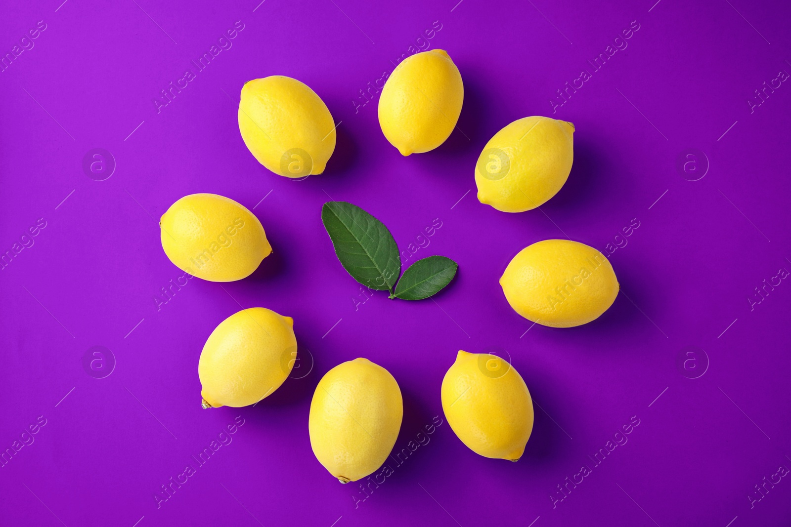 Image of Yellow lemons and green leaves representing clock on purple background, top view