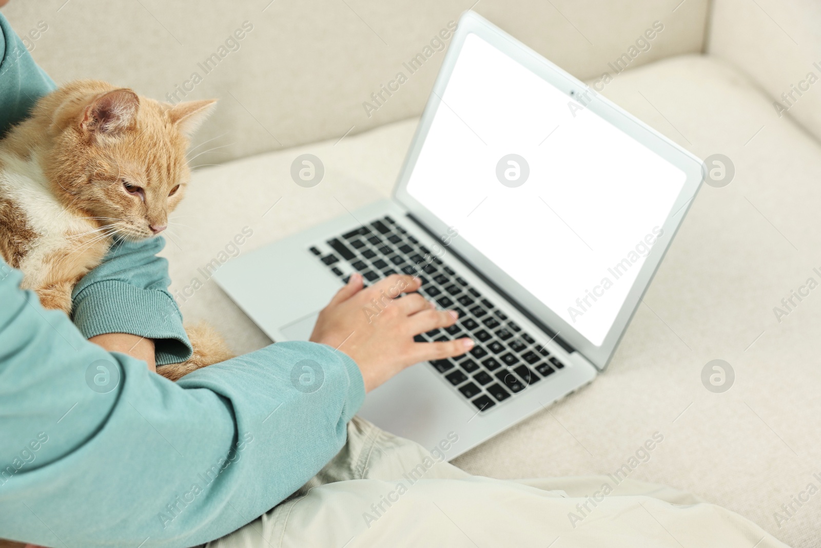 Photo of Online pet shop. Woman with laptop making order and cute cat on sofa at home, closeup