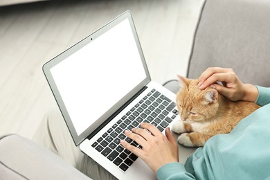 Photo of Online pet shop. Woman with laptop making order and cute cat on sofa at home, closeup