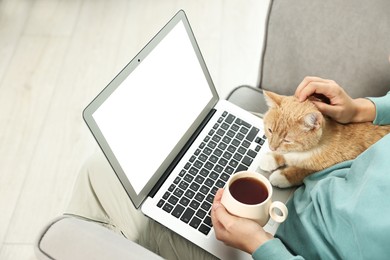 Online pet shop. Woman with laptop, cute cat and cup of tea making order on sofa at home, closeup