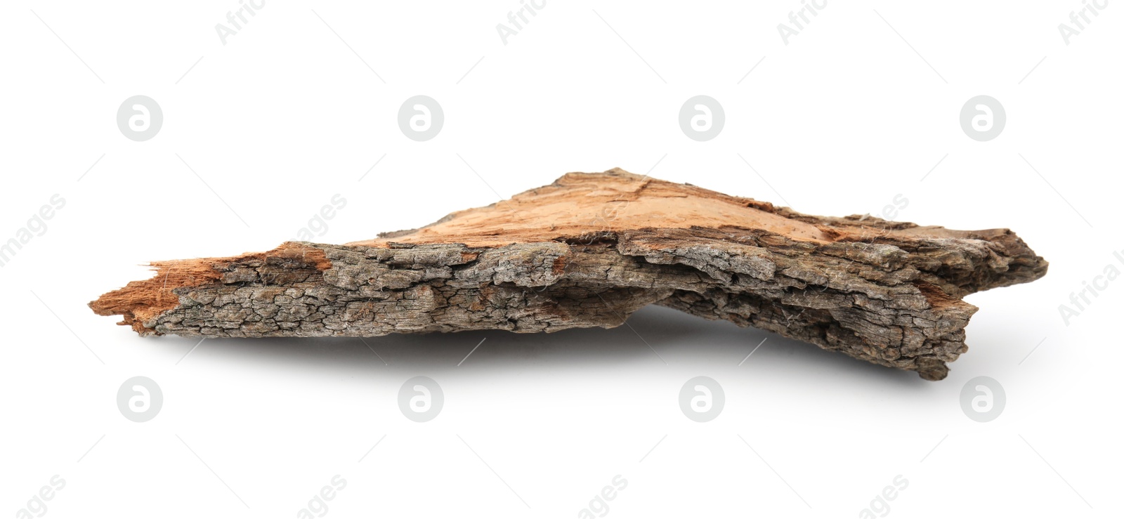 Photo of One piece of tree bark isolated on white