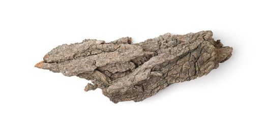 Photo of One piece of tree bark isolated on white, top view