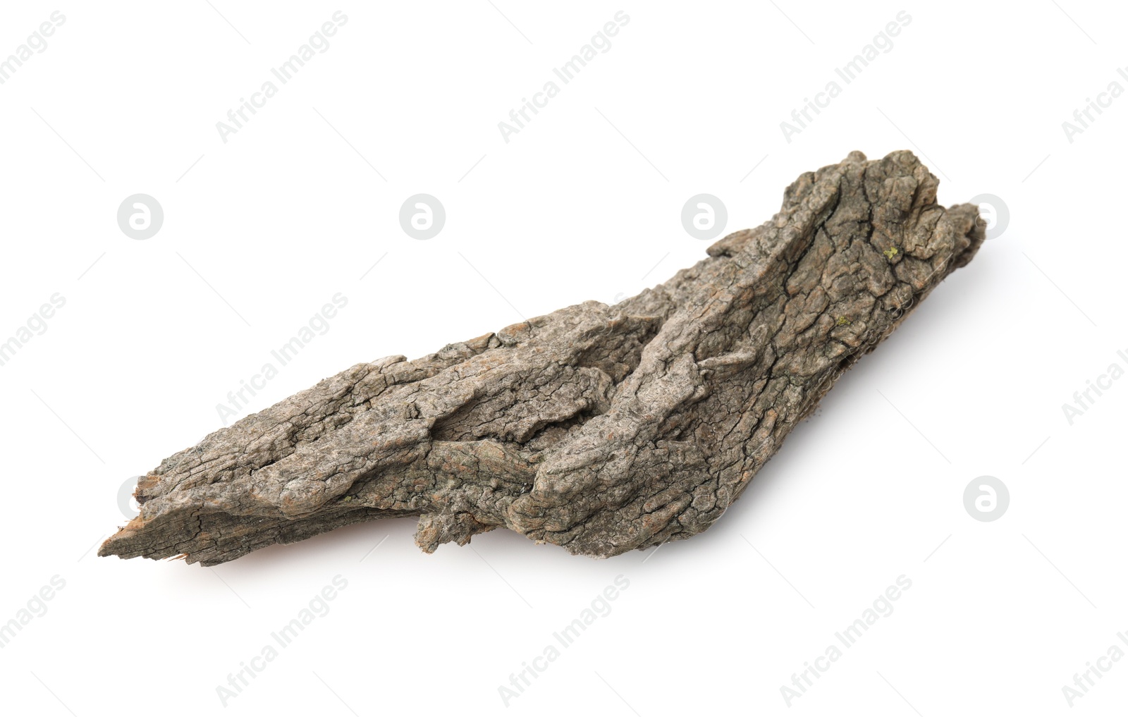 Photo of One piece of tree bark isolated on white