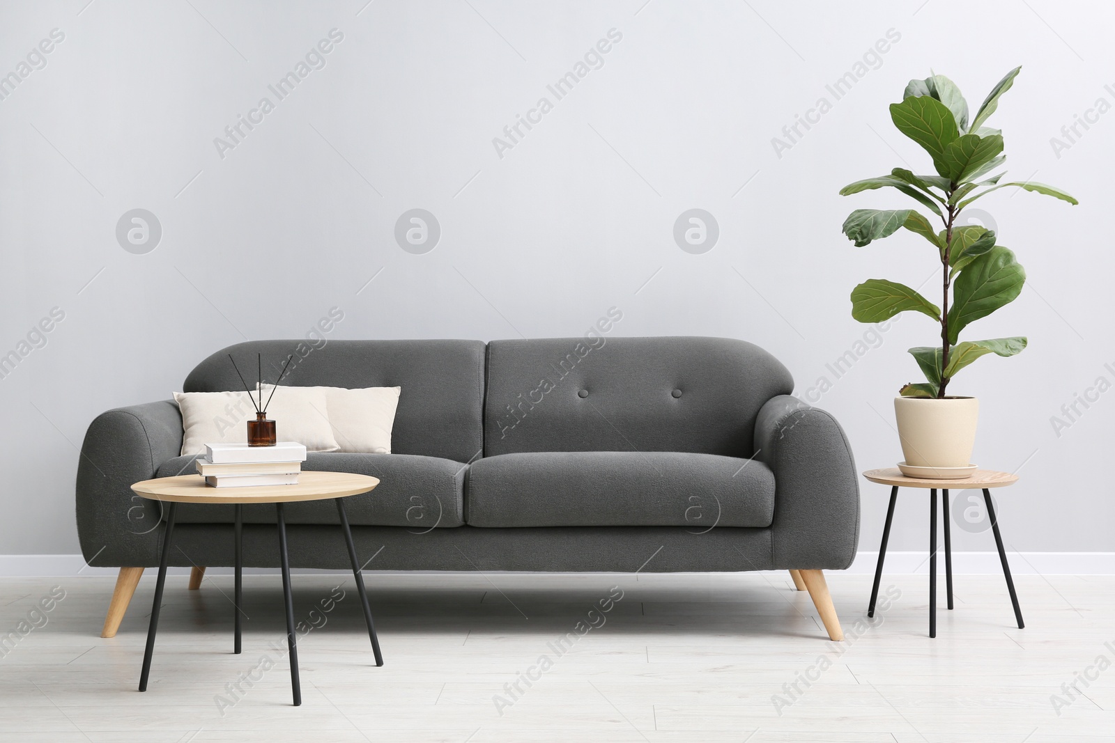 Photo of Comfortable sofa, tables and houseplant near grey wall in room