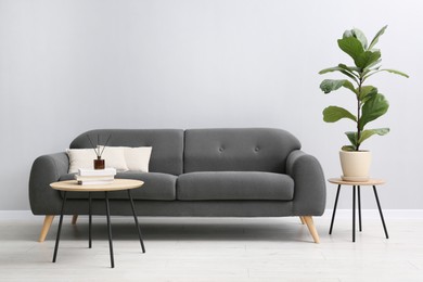 Comfortable sofa, tables and houseplant near grey wall in room