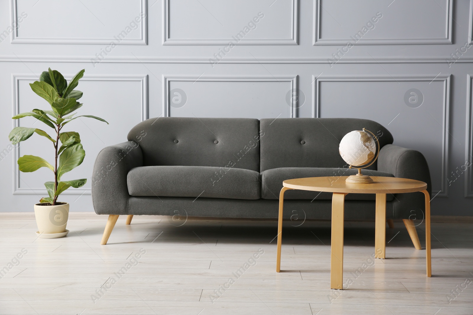 Photo of Stylish sofa, green plant and globe on coffee table in room