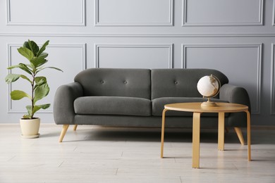 Stylish sofa, green plant and globe on coffee table in room