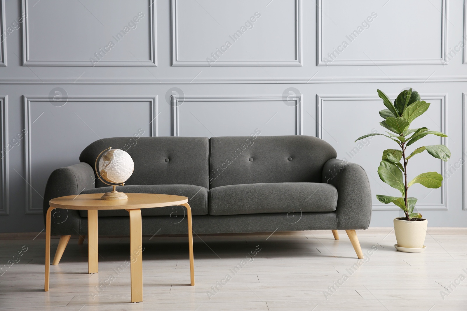 Photo of Stylish sofa, green plant and globe on coffee table in room