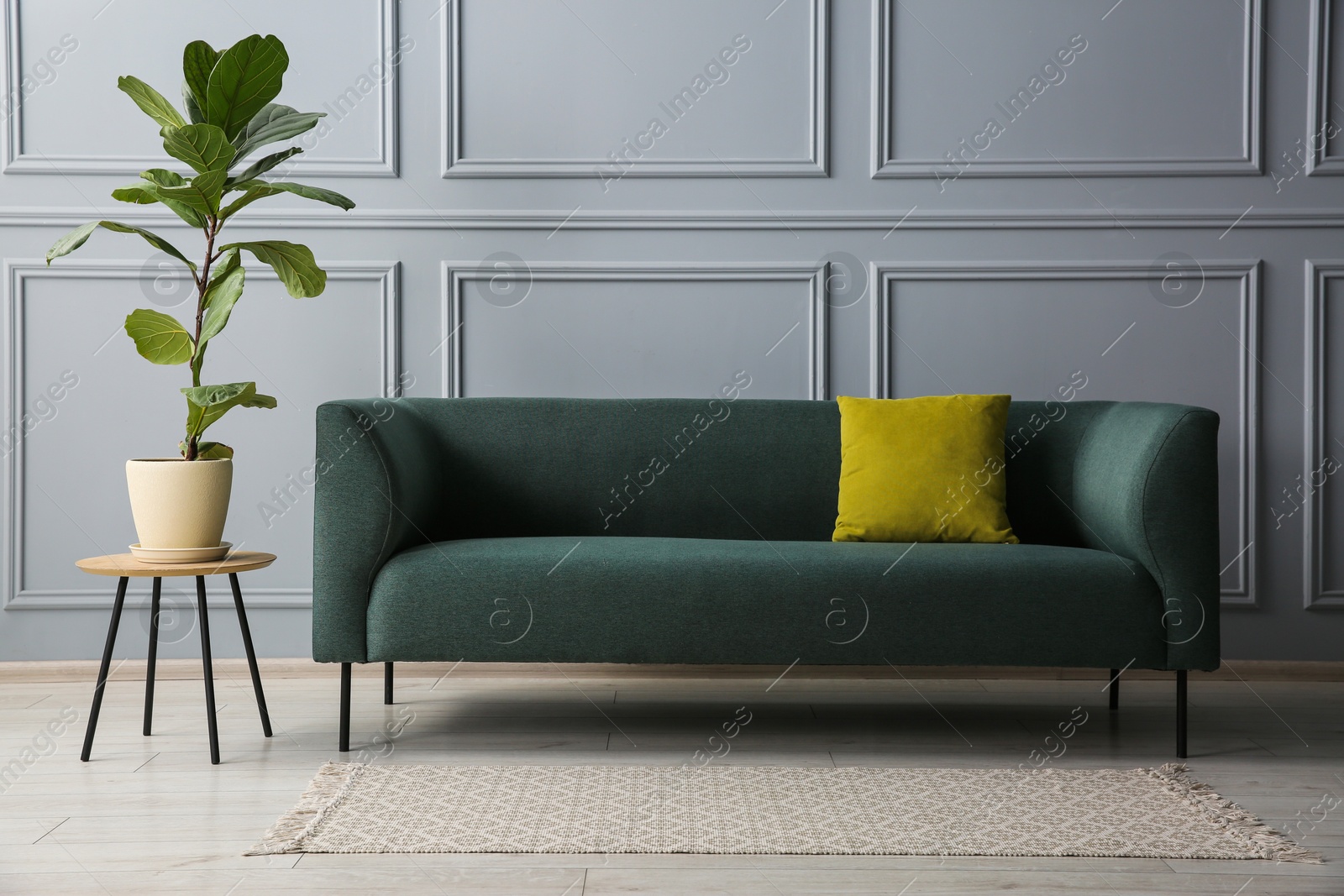 Photo of Stylish sofa with cushion and green plant near on side table grey wall