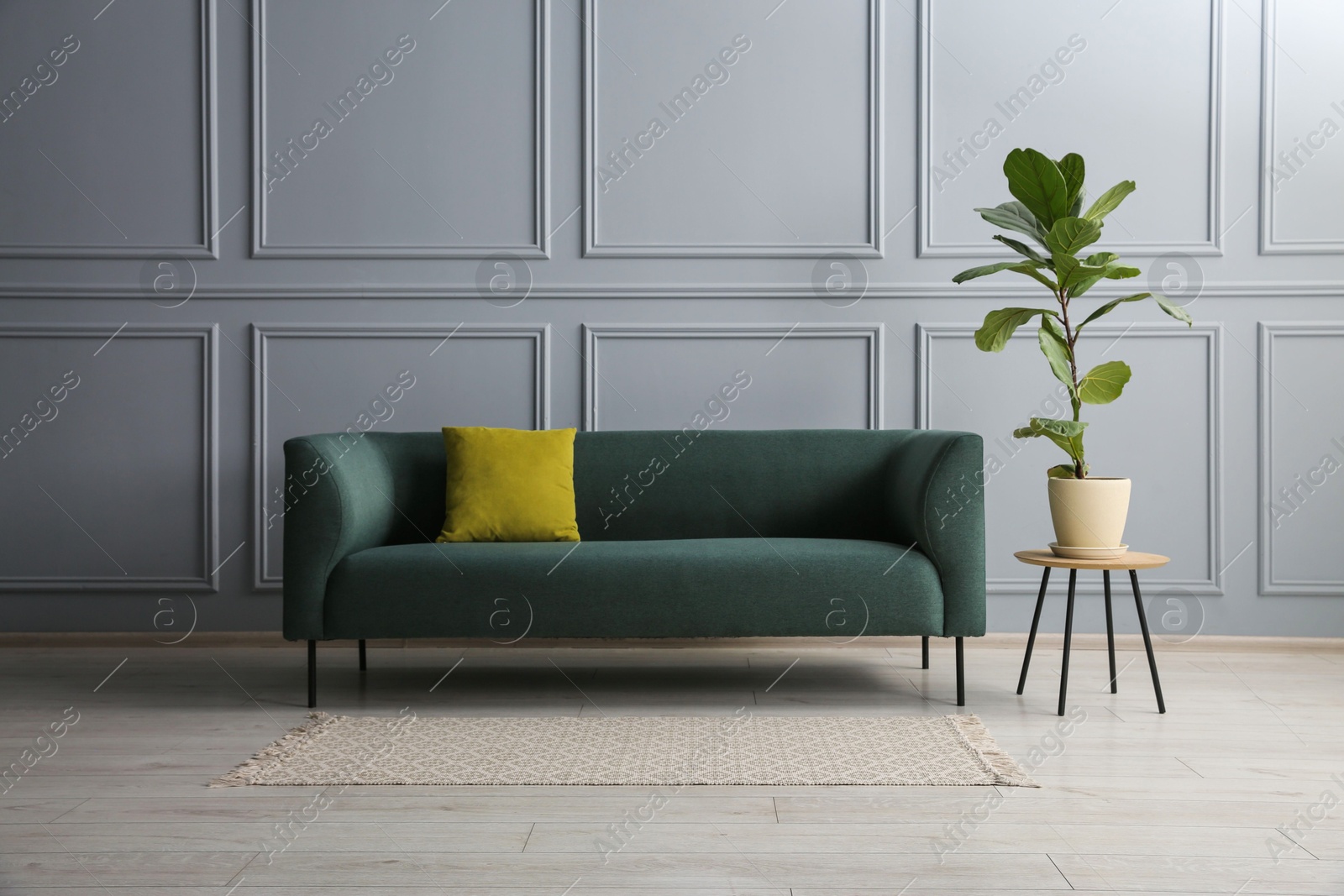 Photo of Stylish sofa with cushion and green plant near on side table grey wall