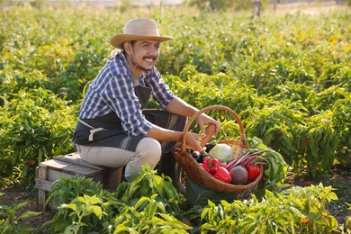 Photo of Harvesting season. Farmer with wicker basket of fresh vegetables in field on sunny day