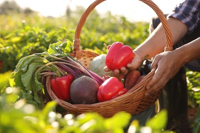 Photo of Harvesting season. Farmer with wicker basket of fresh vegetables in field on sunny day, closeup