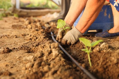 Photo of Woman planting seedling into soil outdoors, closeup