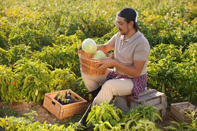 Farmer harvesting ripe vegetables in field on sunny day