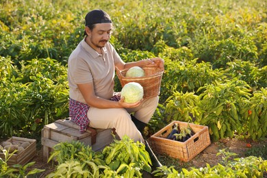 Photo of Farmer harvesting ripe vegetables in field on sunny day