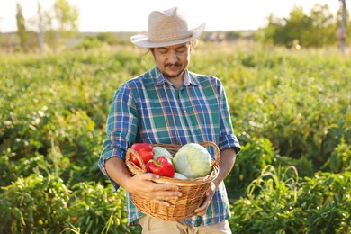 Harvesting season. Farmer with wicker basket of fresh vegetables in field on sunny day