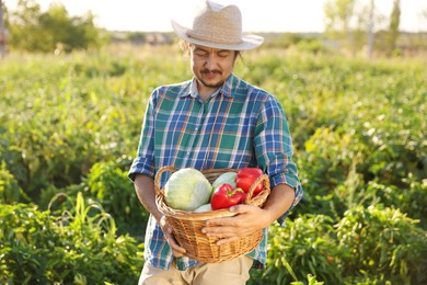 Harvesting season. Farmer with wicker basket of fresh vegetables in field on sunny day