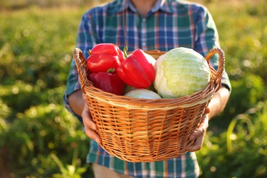 Harvesting season. Farmer with wicker basket of fresh vegetables in field on sunny day, closeup