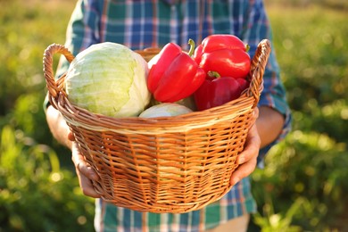 Photo of Harvesting season. Farmer with wicker basket of fresh vegetables in field on sunny day, closeup